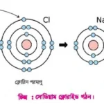 আয়নিক বন্ধন বা তড়িৎযোজী বন্ধন