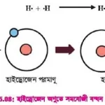 হাইড্রোজেন অণুতে সমযোজী বন্ধন