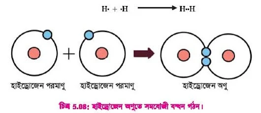 হাইড্রোজেন অণুতে সমযোজী বন্ধন