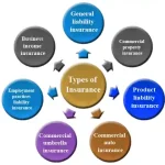 Types of Insurance Business