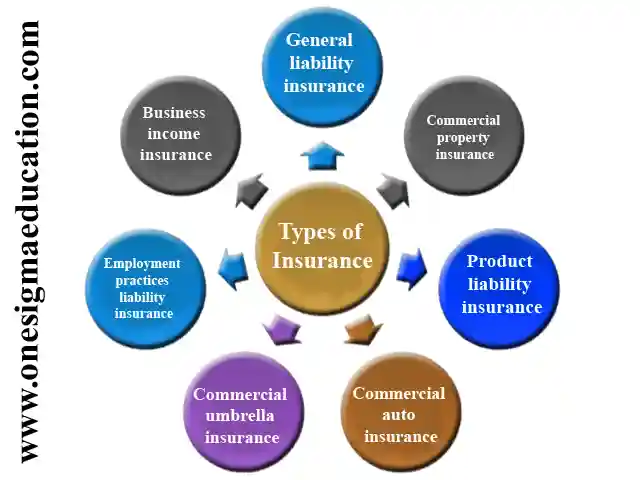 Types of Insurance Business