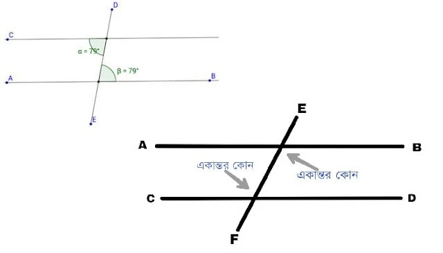 একান্তর কোণ কাকে বলে? একান্তর কোণের বৈশিষ্ট্য